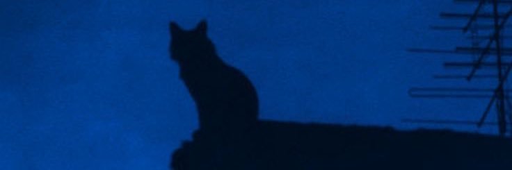 kitty hi's banner