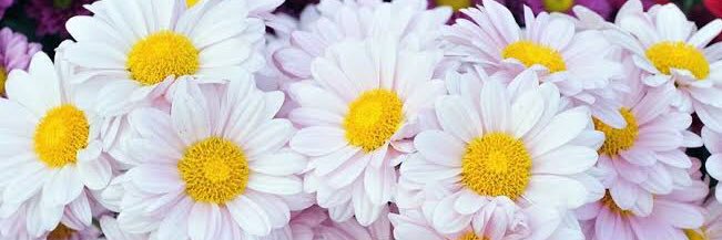 Dezine_249's banner