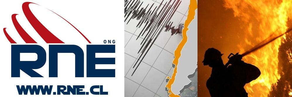 Red de Emergencia ONG's banner