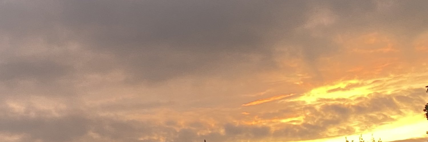 maria's banner