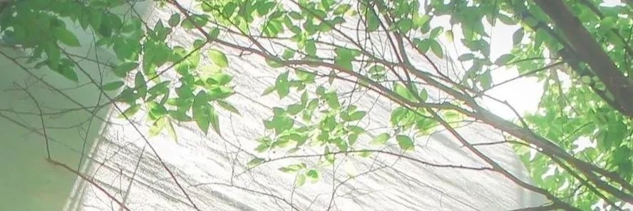 小砚子's banner