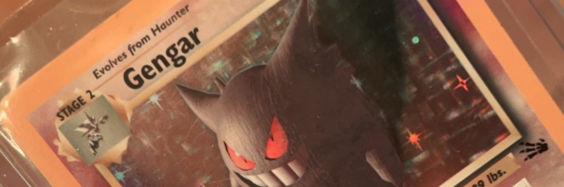 Virgo Rayne's banner