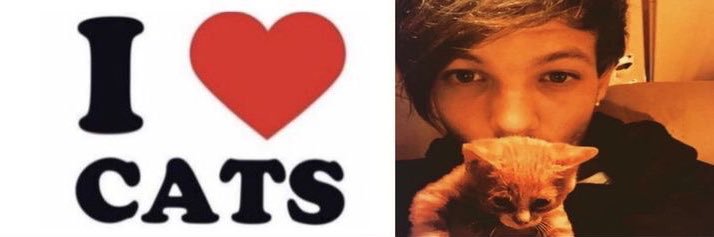 renee rapp HDIGH ?𖦹's banner