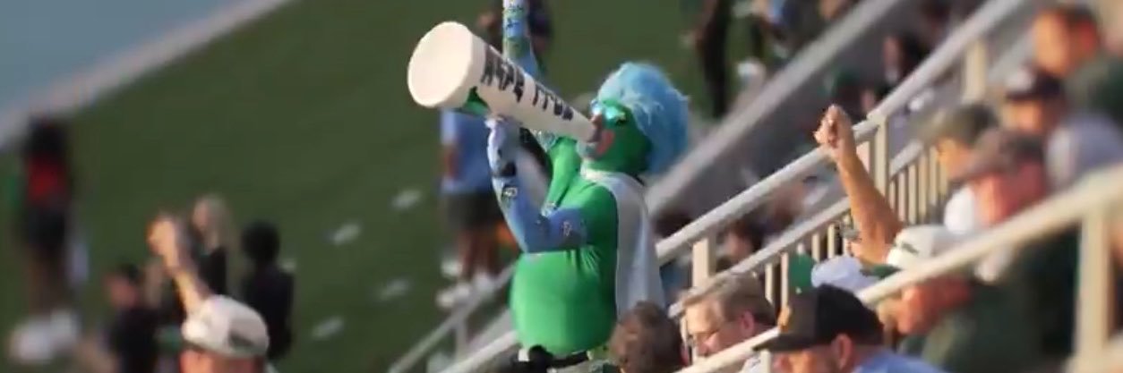 Green Wave Man's banner