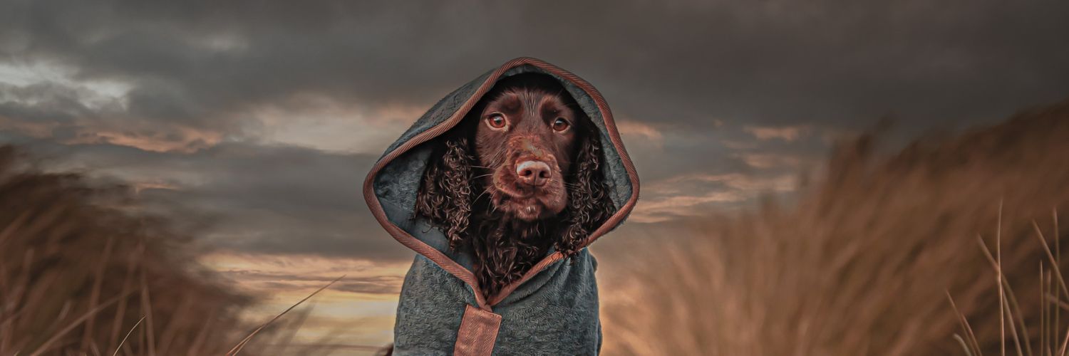 Isle Of Man Prison Dog Section's banner