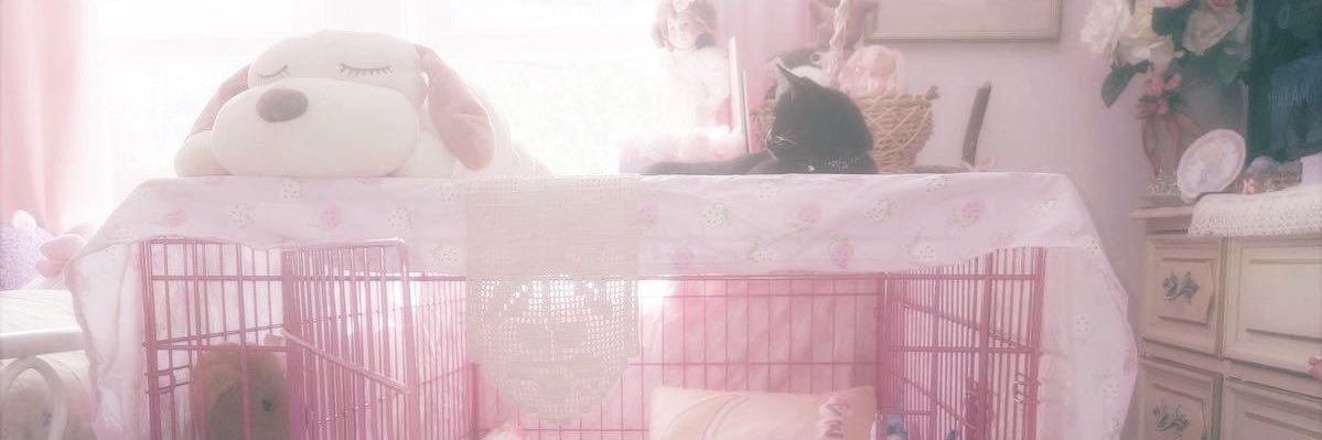 𝟖𝓽𝓽𝓮𝓻𝓯𝓵𝔂ᥫᩣ‴'s banner