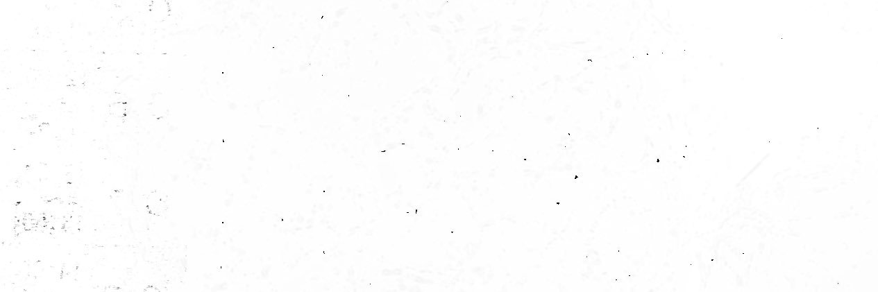 ヌル's banner