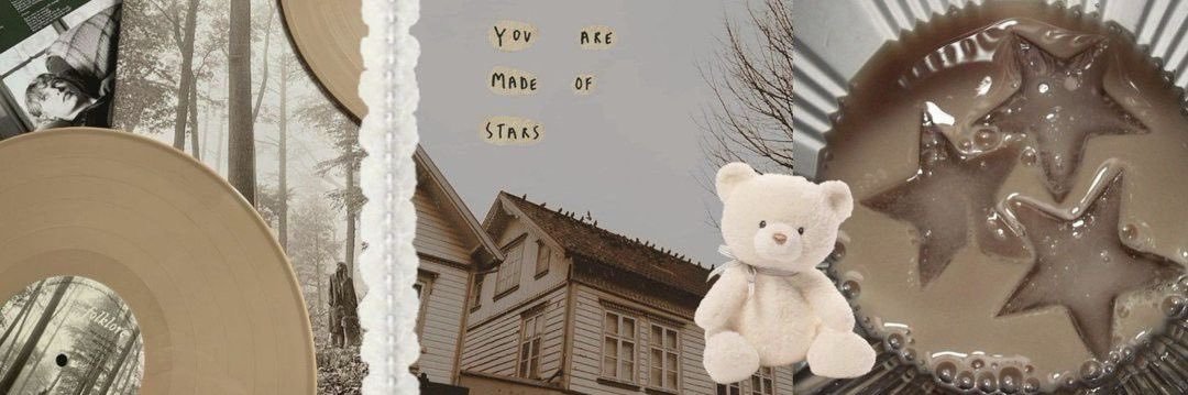 zara's banner