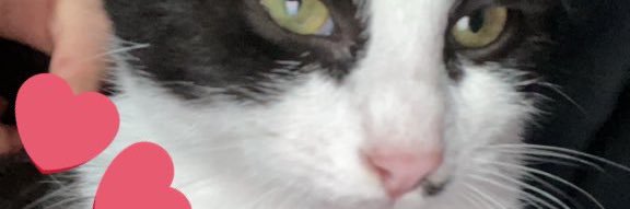 may🎀's banner
