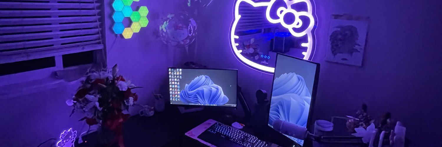 mango🥭's banner