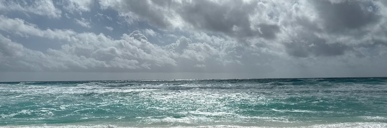 Jesse X's banner