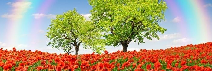 Mehmet Atar🇹🇷's banner