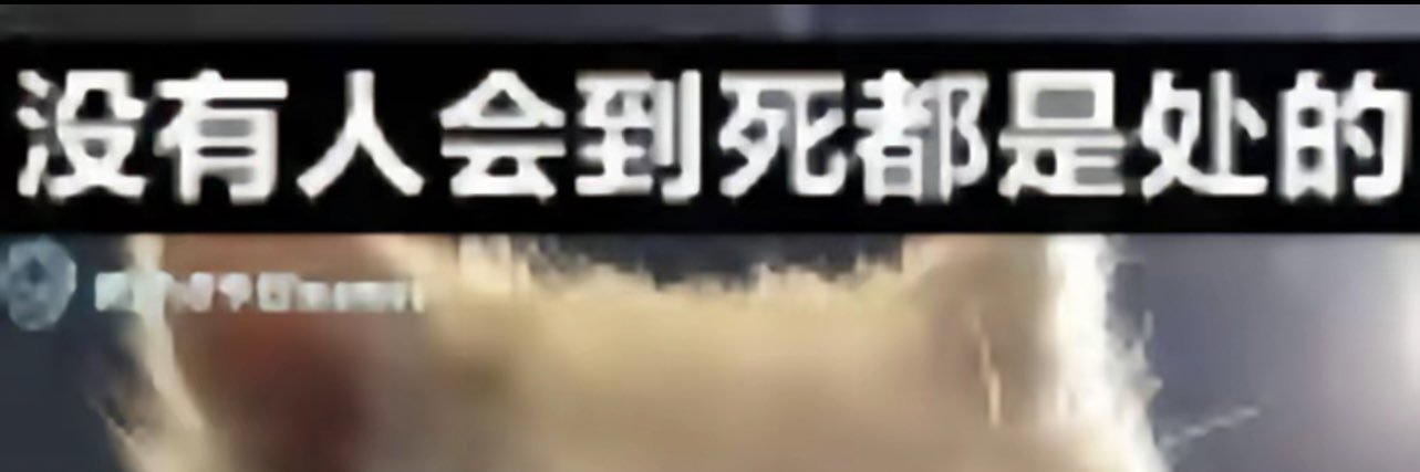 小猪🐖's banner