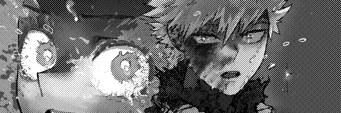 ウヅキ's banner