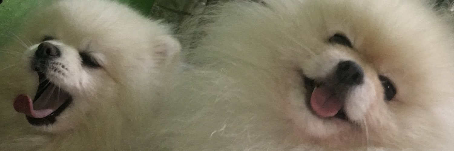 Ден Дніпро's banner