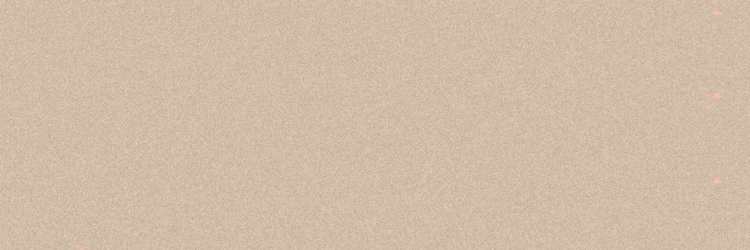zee's banner