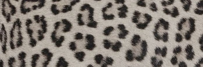ؘ's banner