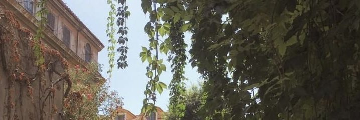 joanna's banner