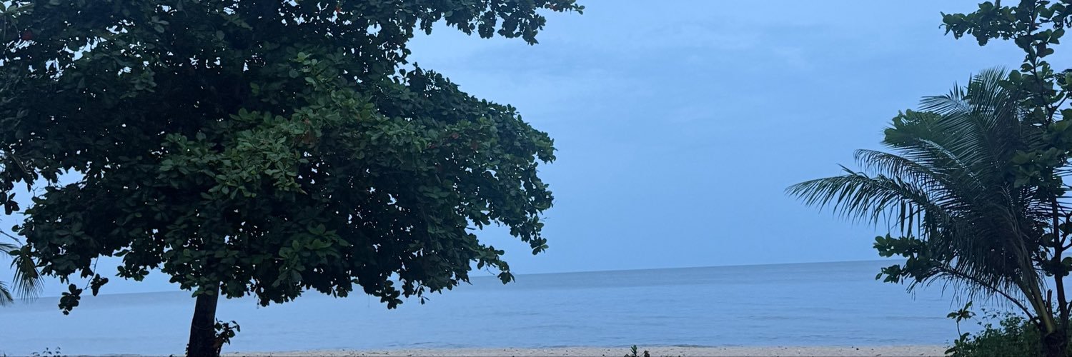 Totototo's banner