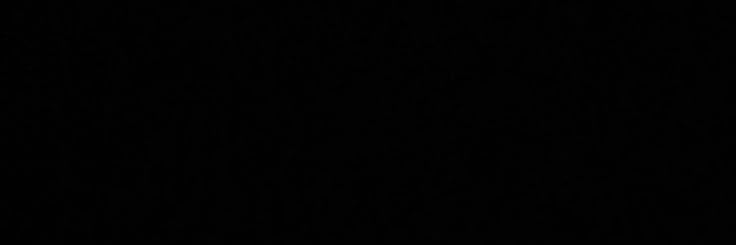 .'s banner