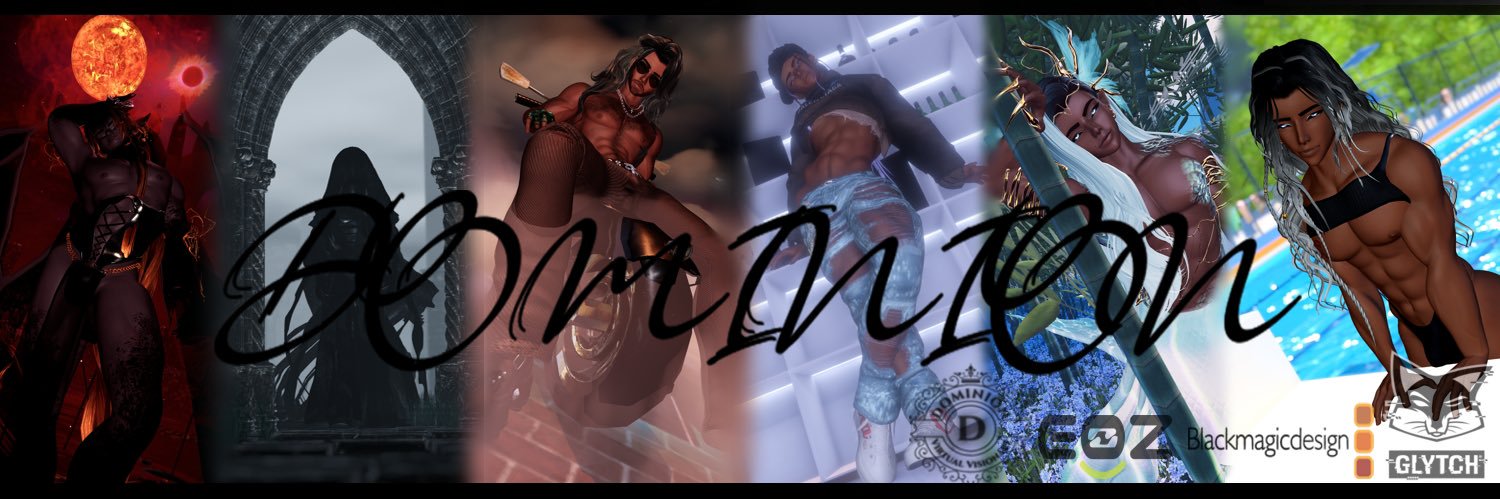D O M I N I O N V T's banner