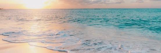 匿名ウサギ's banner