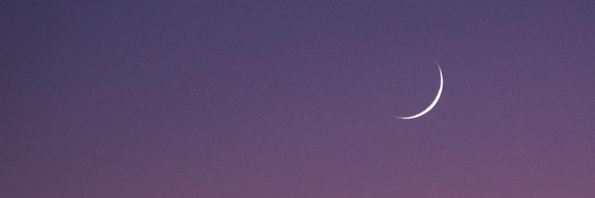 Simay Ergin's banner