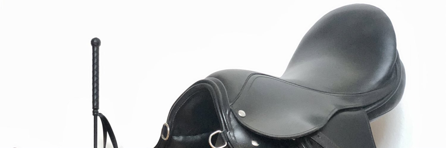 Ponyboy Centaur's banner
