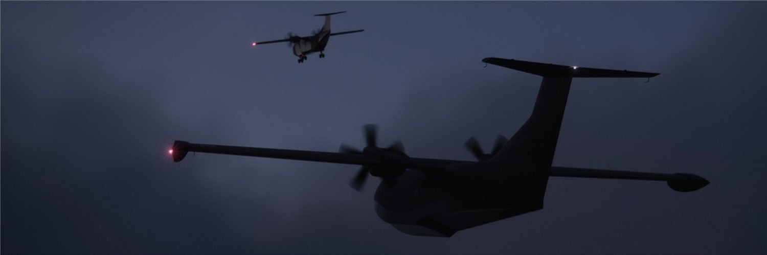 David Zagaynov's banner