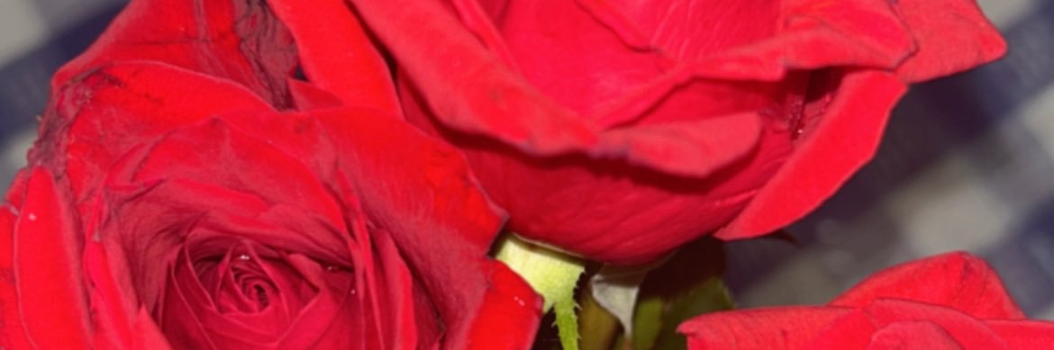 🌸's banner