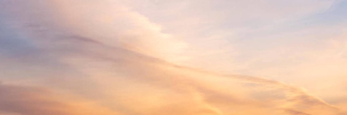 𝓷𝓲𝓬𝓸𝓵𝓮✨'s banner
