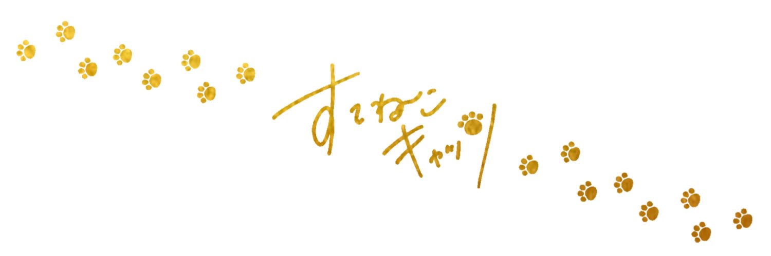 すてねこキャッツ's banner