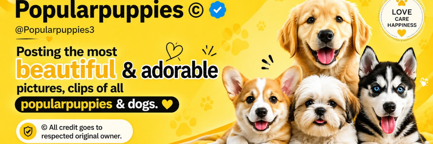 Popularpuppies ©'s banner