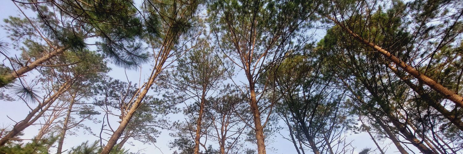 IG: @ohayokarlo's banner