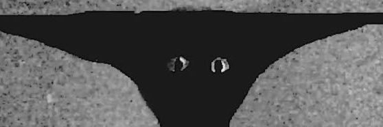 Connor (TripDawgFan2007)'s banner