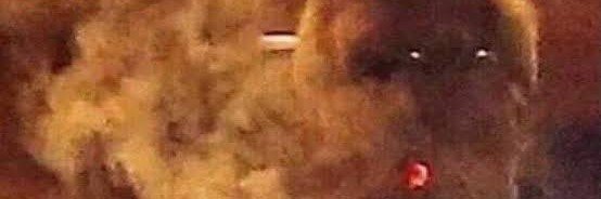 𝐍𝐎𝐊𝐓𝐀's banner