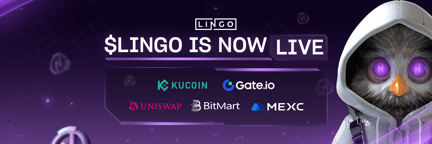 Lingo's banner