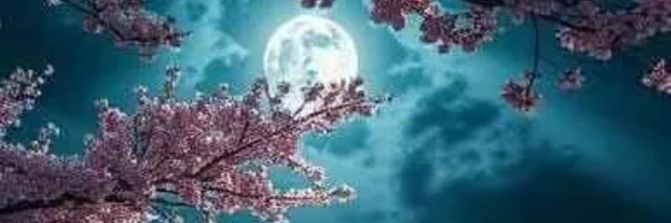Sanem💜's banner