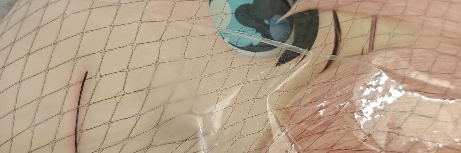 喵喵子's banner