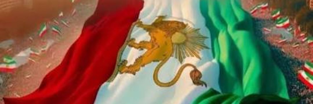Haniyeh Mohamadi's banner