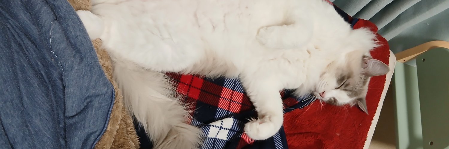 gents-c りおお24's banner