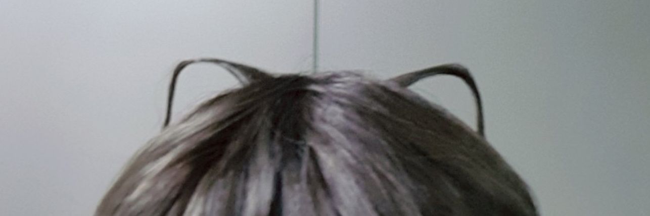 블짱's banner
