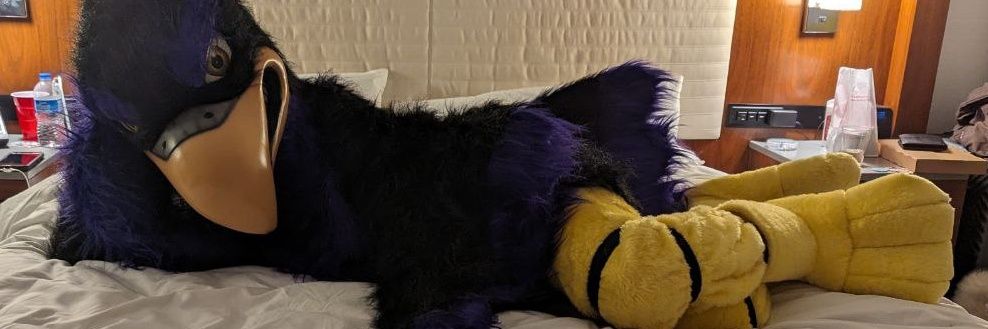 Midnight the Raven's banner