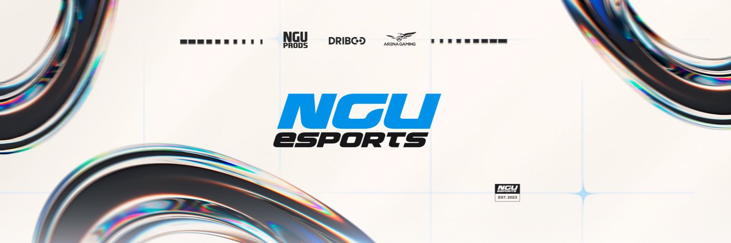 NGU eSports's banner
