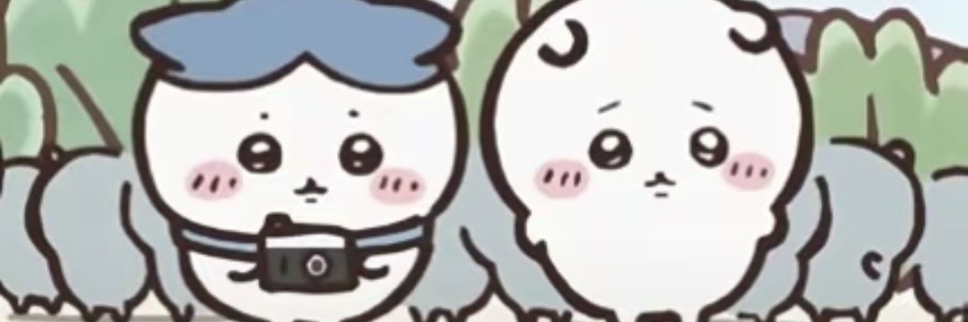松鼠桂鱼🐿️'s banner