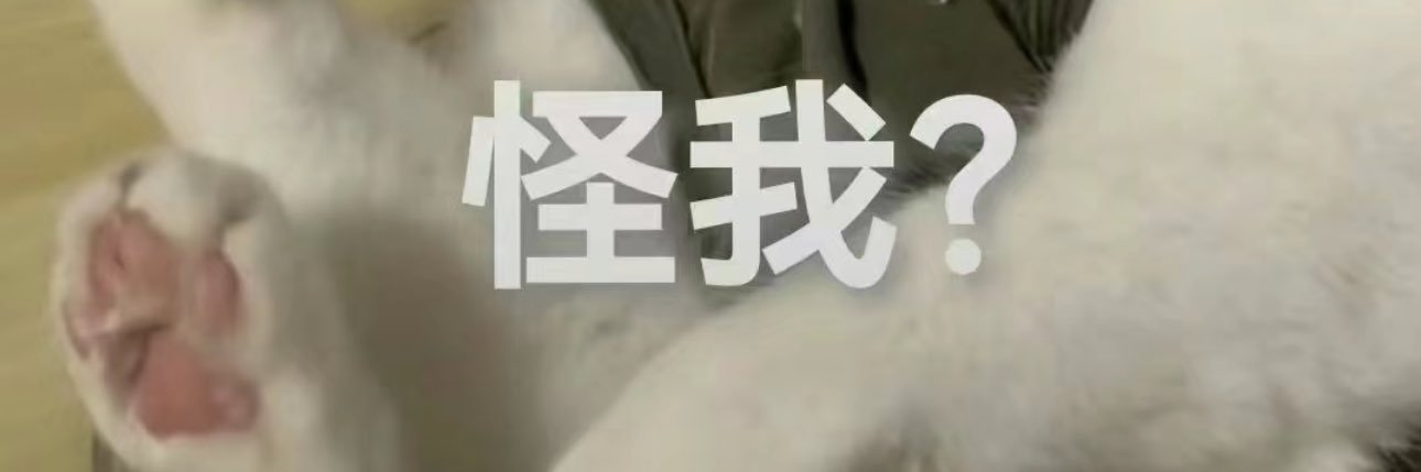 Sia.Q's banner