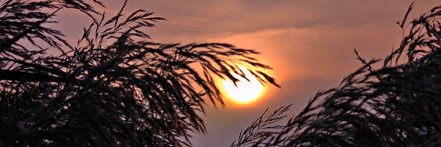 落日贩售机's banner