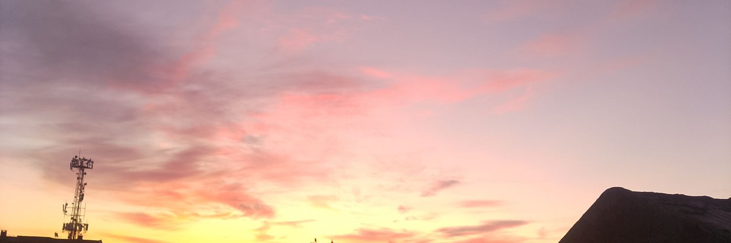 Filiz's banner