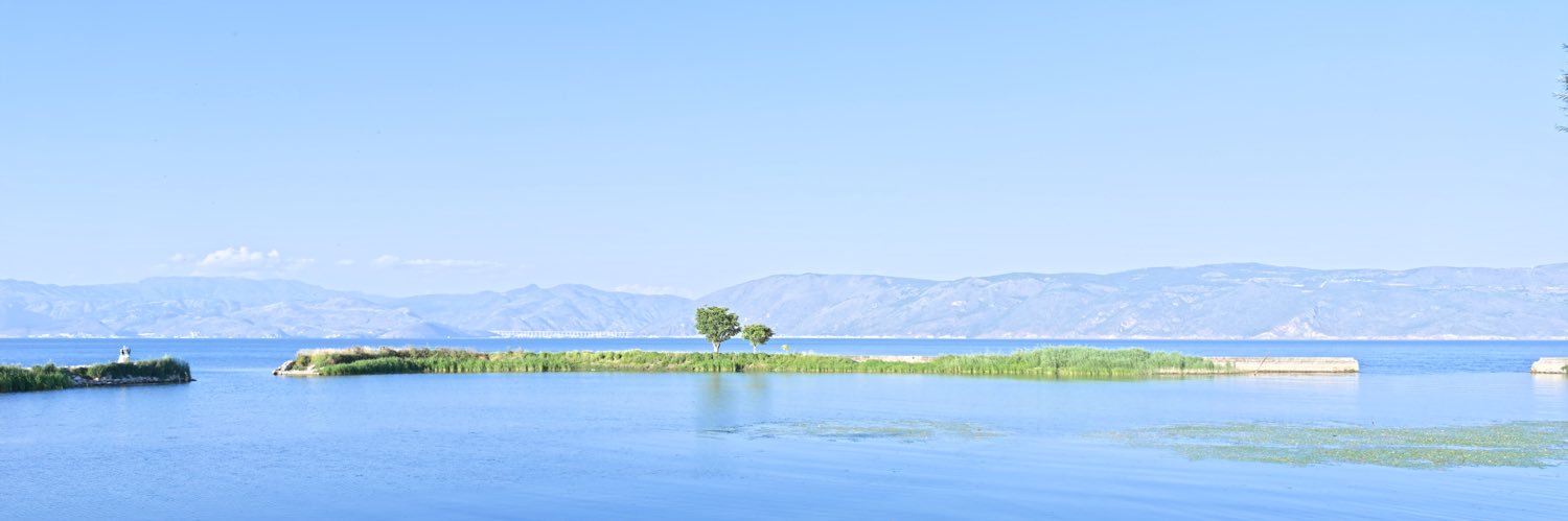 小侠's banner