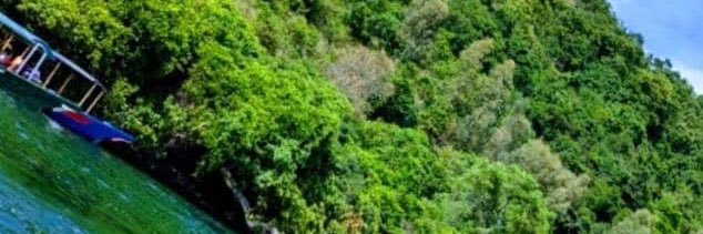 Humbleman137🙏's banner